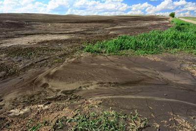 Soil erosion plays a crucial role in global biogeochemical cycles and food security