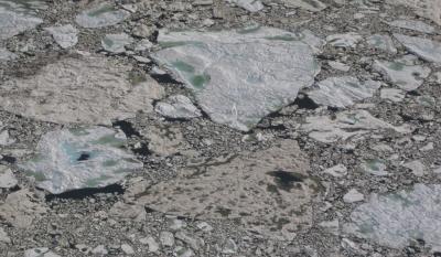 Aerial photograph of melting sea ice north of Alaska. Several of the ice floes appear brown due to high sediment load in the ice.