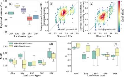 Machine learning (ML) and causal inference approaches substantially improved CMIP6 models’ predictions of evaporative fraction (EF). Before (left) and after (right) the uncertainty reduction in the CMIP6 model predictions.