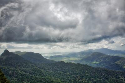 Increased levels of carbon dioxide decrease the amount of rain that falls during the day relative to night in tropical rainforests. (Photo by Grant Matthews | Flickr)