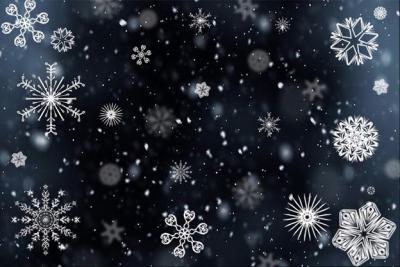 Different shaped generated snowflakes on a dark background.