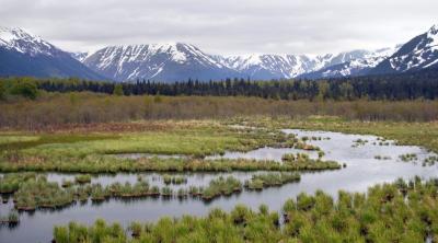 Streamflow contains information related to the rate of permafrost thaw. Image credit: John A. Kelley