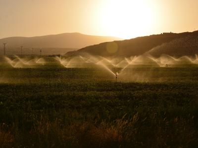 Sprinklers on a field of green crops. (Photo by Süleyman Şahan | Pexels)