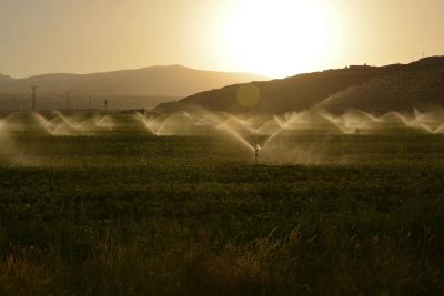 The representation of dynamic irrigated crop area adaptation in national- to global-scale water shortage modeling and analysis remains a major gap. Photo by Süleyman Şahan, Pexels. 