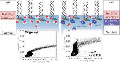 Illustration of the single-component insoluble monolayer (left) and the formation of a second layer by soluble sugars sticking to the monolayer.  Bottom: Potential impact of the two-layer treatment on organic mass fraction of sea spray in the OCEANFILMS model.