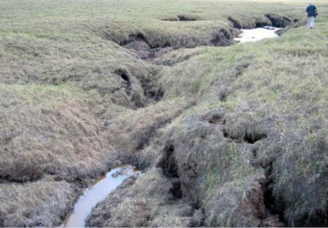 Frozen peat soil collapses into a thermokarst bog in Alaska. Intact permafrost in the active layer above the frozen soil seasonally freezes and thaws. Other soils, including the collapsed thermokarst bog, represent the terminal state of thaw. 