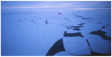 Sea-ice floes collide in the Southern Ocean near the Mertz Glacier in August 1999. The Research Vessel Aurora Australis (inside the magenta box, which is approximately 100 meters wide) sits in the floe. Sea-ice modeling is the focus of one of the six funded projects.