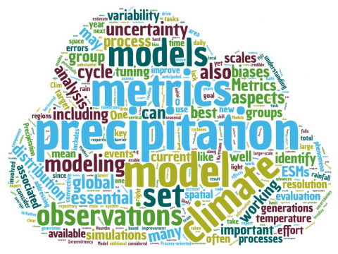 A “word cloud” generated from the workshop whitepaper, “Assessing the Simulation of Precipitation in Earth System Models.” 