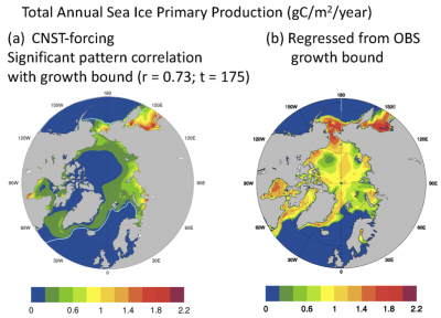(a) Modeled Arctic primary production and (b) estimate based on model correlations and observations.