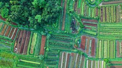  A new model of land use that accounts for variation in land use and conversion cost suggests that the impact of climate change on agricultural productivity could be greater than previously estimated.