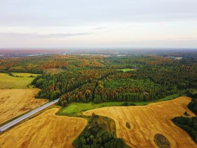 In some warming and economic scenarios, land productivity increased, requiring less cropland to produce the same amount of food. Those reductions provide increased area opportunity for bioenergy products or new trees to grow and reduce CO2 emissions under incentives. Image courtesy of Max Hermansson | Unsplash. 
