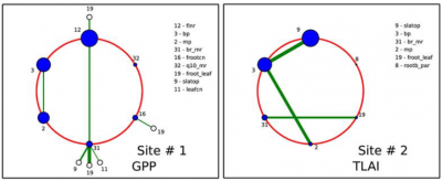 Sensitivities of gross primary productivity (left) and leaf area index (right) at two sites to E3SM land model parameters.  The radii of circles correspond to the main sensitivities, while the green line widths correspond to joint sensitivities between the two connected parameters.